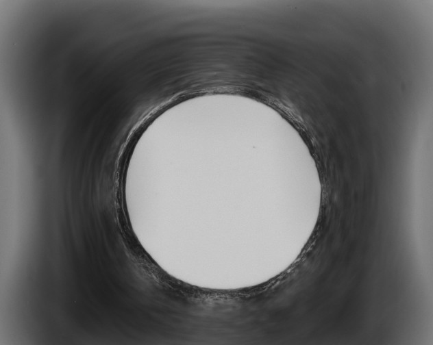 X0000086730146200704130752