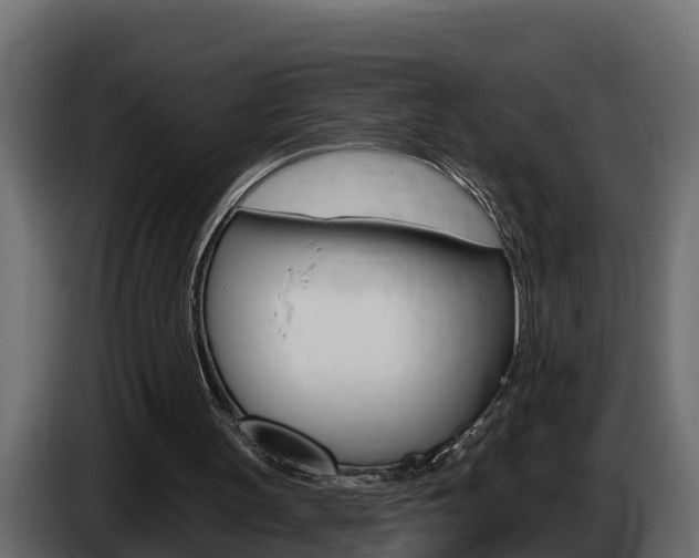 X0000086730147200704130752