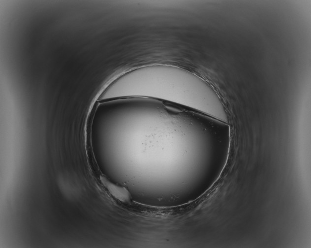 X0000086730148200704130752