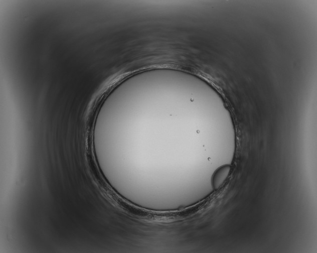 X0000086730149200704130752
