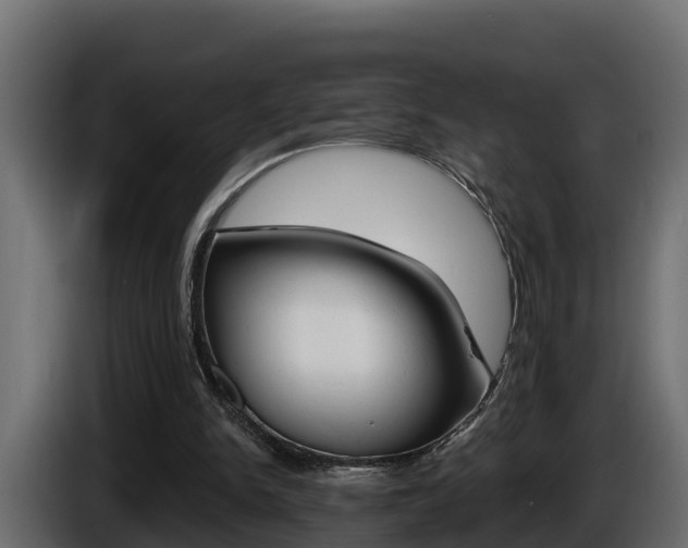 X0000086730150200704130752
