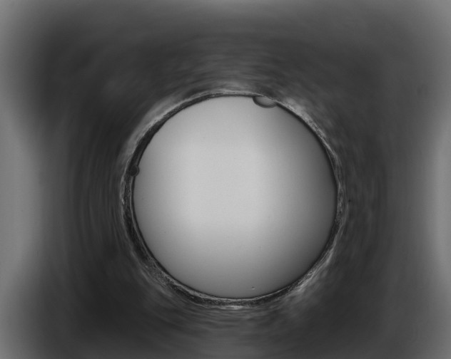 X0000086730151200704130753