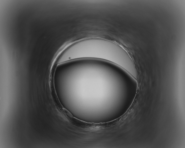 X0000086730152200704130753