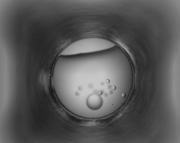 X0000086730153200704130753