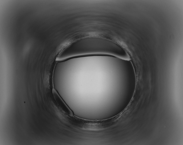 X0000086730154200704130753