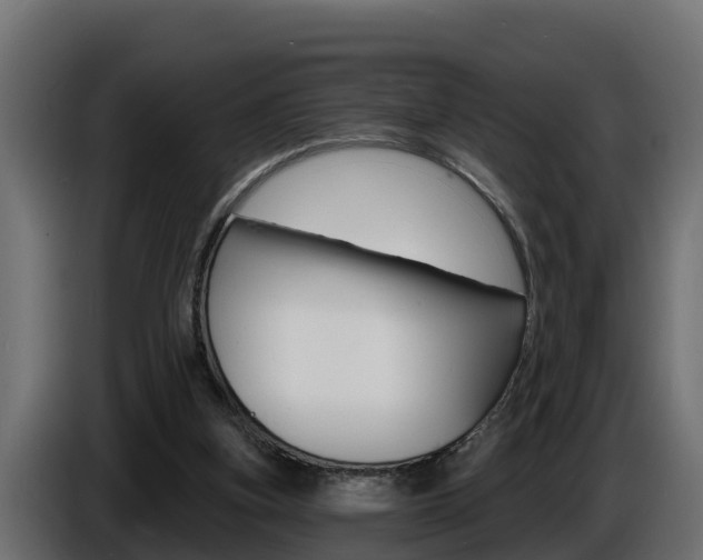X0000086730155200704130753