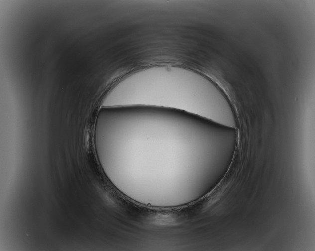 X0000086730157200704130753