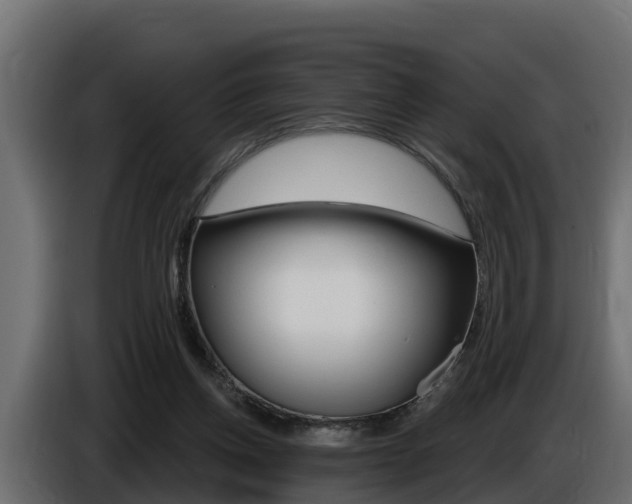 X0000086730158200704130753
