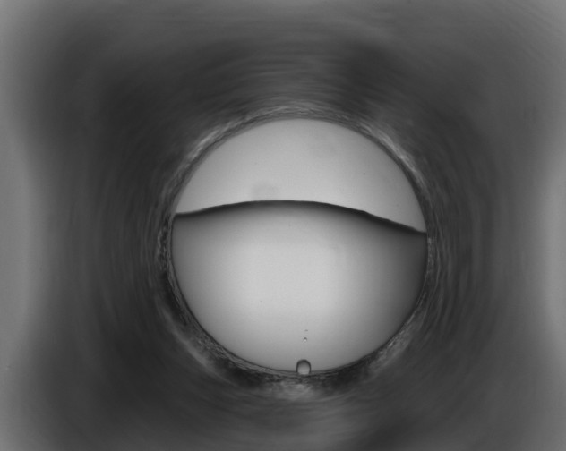 X0000086730159200704130753