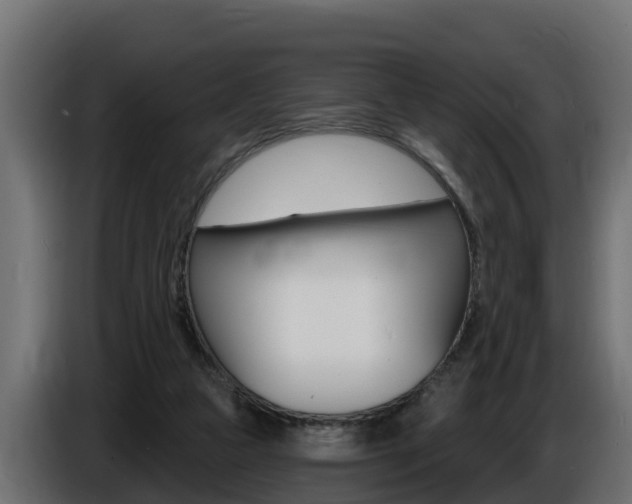 X0000086730161200704130753