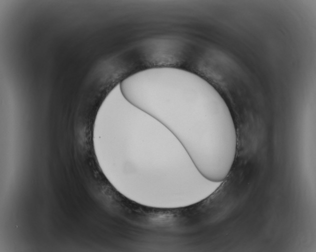 X0000086730162200704130753