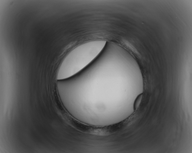 X0000086730163200704130753