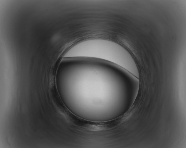 X0000086730164200704130753