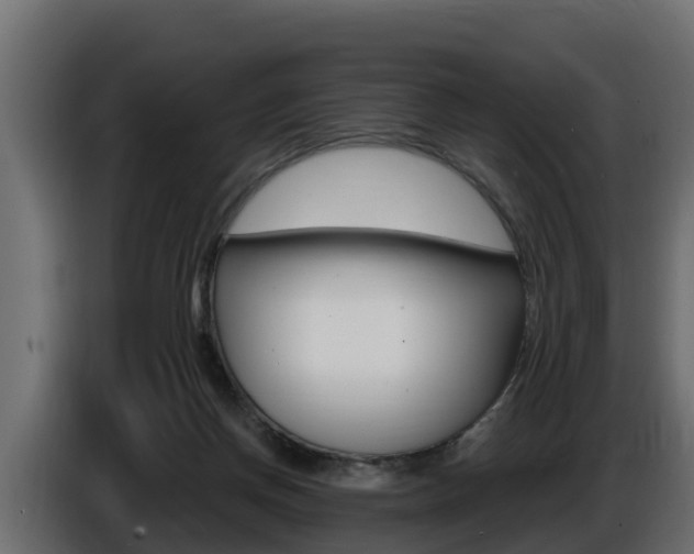X0000086730166200704130753