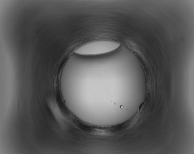 X0000086730167200704130753