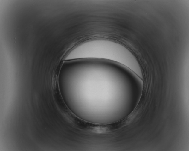 X0000086730168200704130753