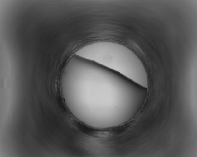 X0000086730169200704130753