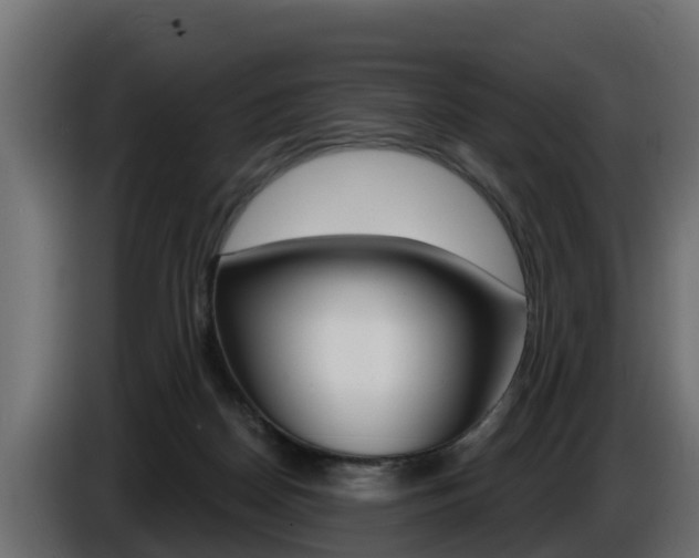 X0000086730170200704130753