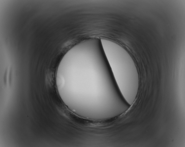 X0000086730171200704130753