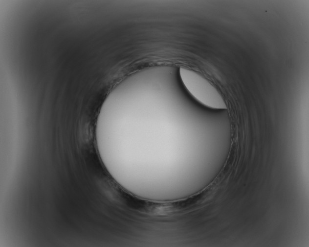 X0000086730173200704130753