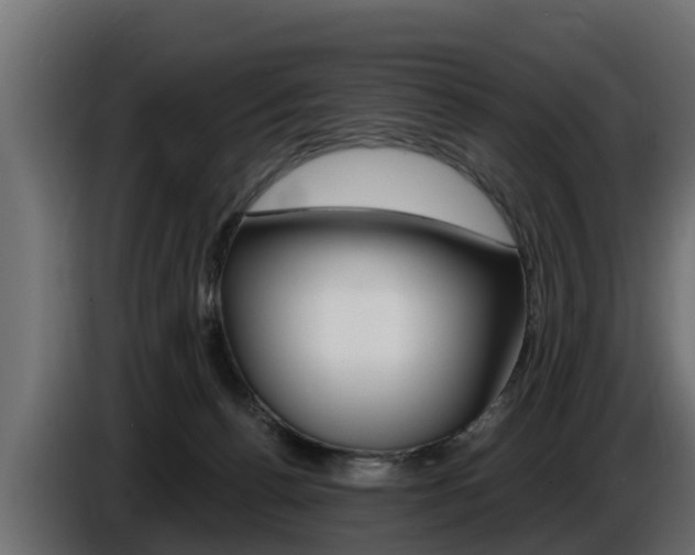 X0000086730176200704130753