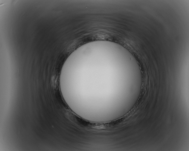 X0000086730177200704130753