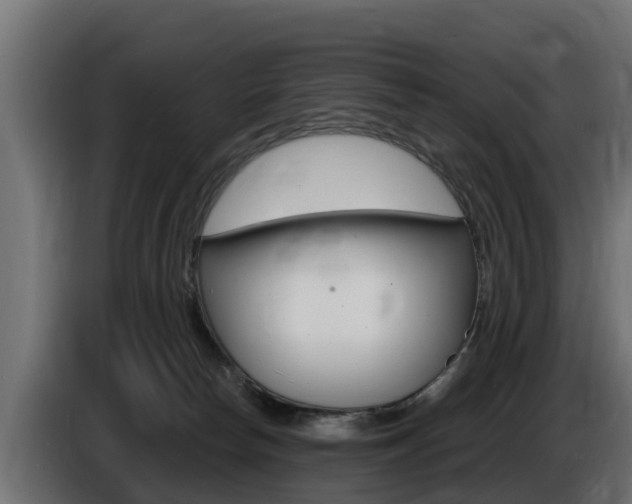 X0000086730178200704130753