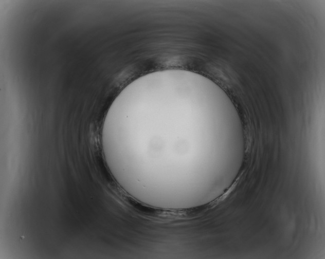 X0000086730179200704130753