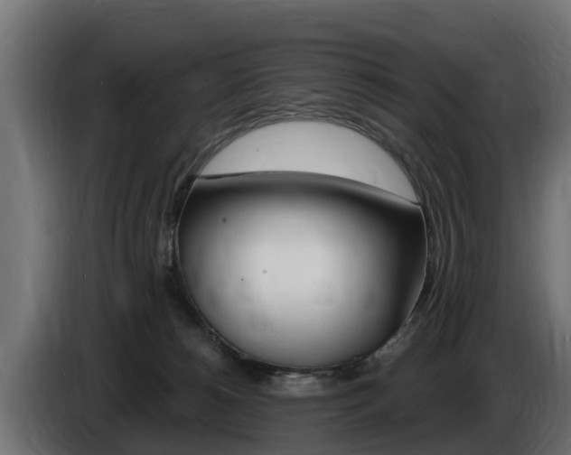 X0000086730180200704130753