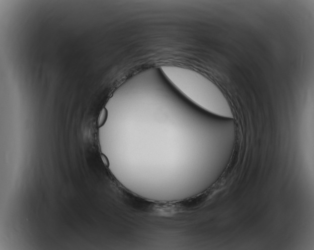 X0000086730181200704130753