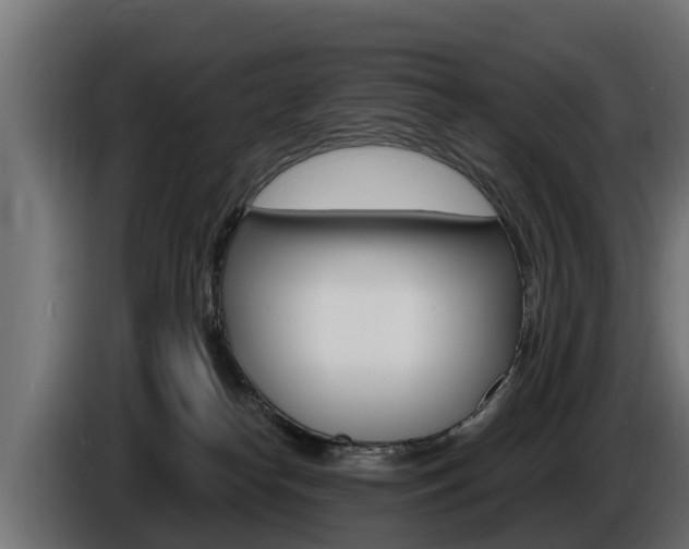 X0000086730182200704130753
