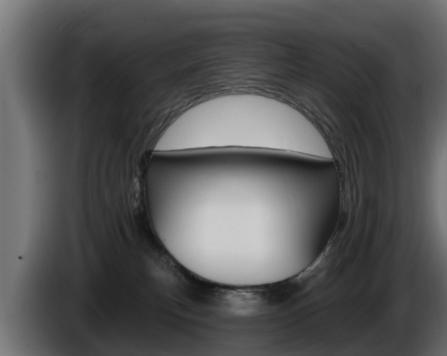 X0000086730183200704130753