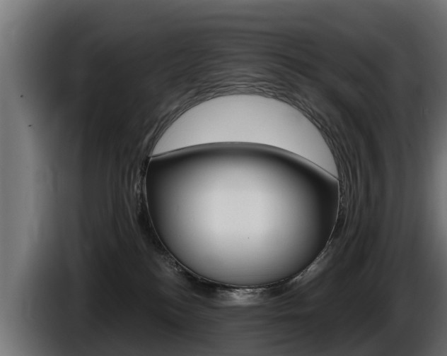 X0000086730184200704130753
