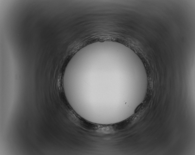 X0000086730185200704130753
