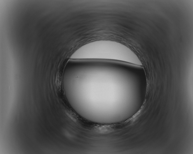 X0000086730186200704130753