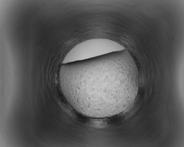 X0000086730187200704130753