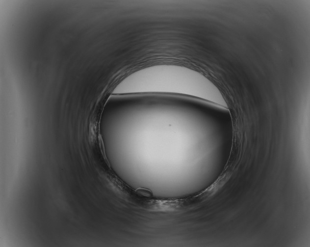X0000086730188200704130753