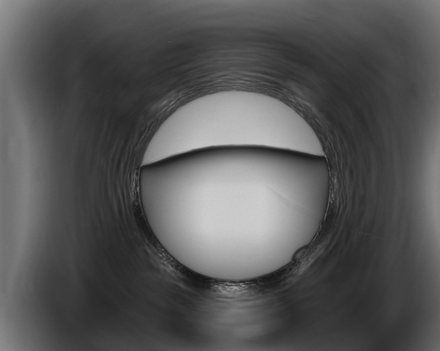 X0000086730189200704130753