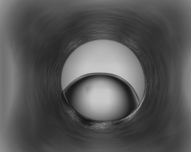 X0000086730190200704130753