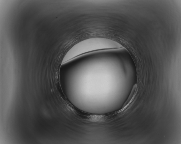 X0000086730192200704130753