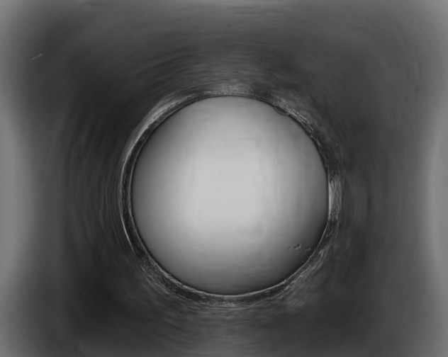 X0000086730195200704130752