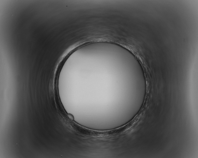 X0000086730196200704130752