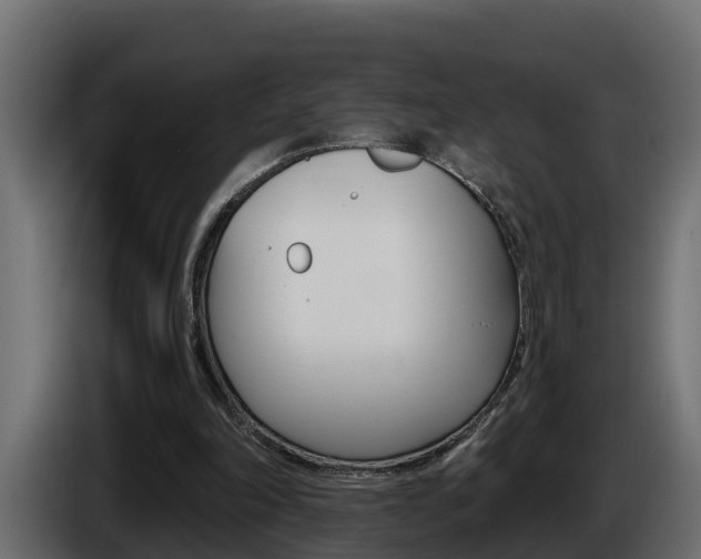 X0000086730198200704130752