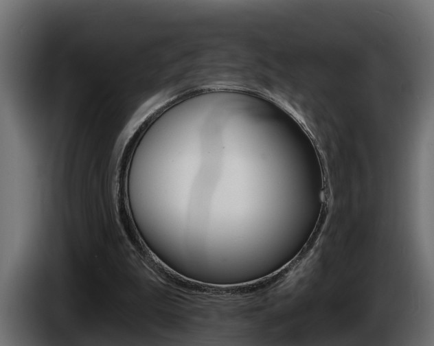 X0000086730199200704130752