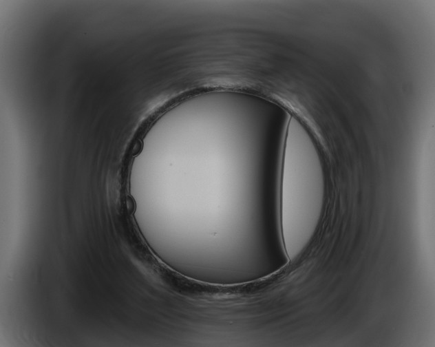 X0000086730204200704130752