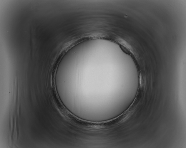 X0000086730205200704130752