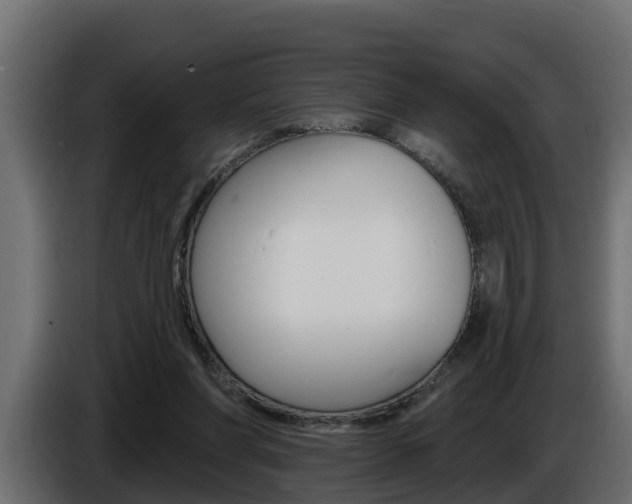 X0000086730206200704130752