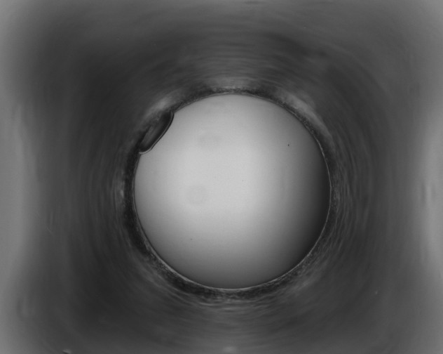 X0000086730207200704130752
