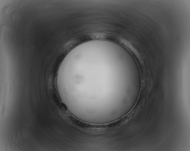 X0000086730209200704130752