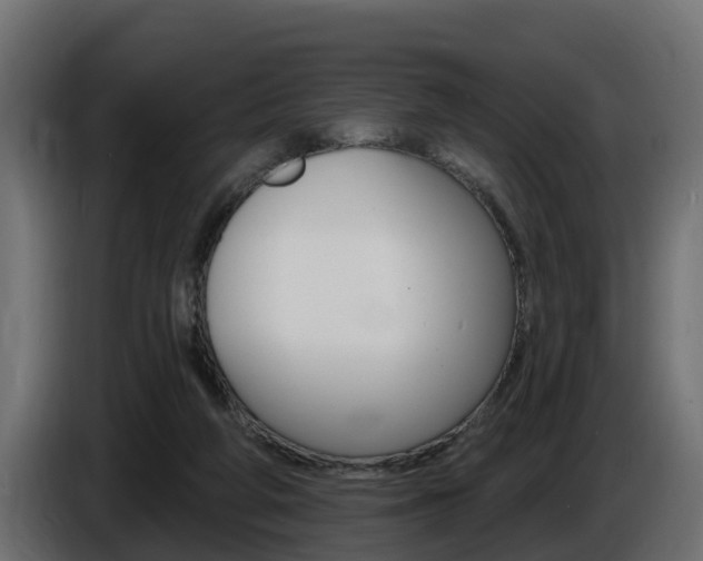 X0000086730210200704130752